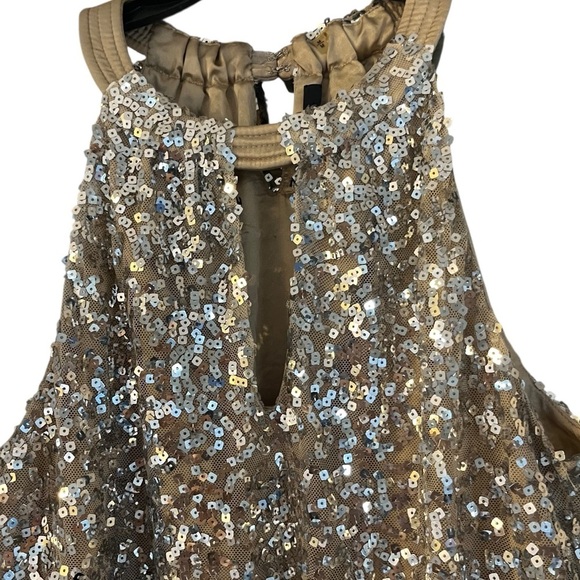 Tahari Nude Mesh w/ Silver Sequins Embellished Halter Top Sz M - Picture 4 of 7